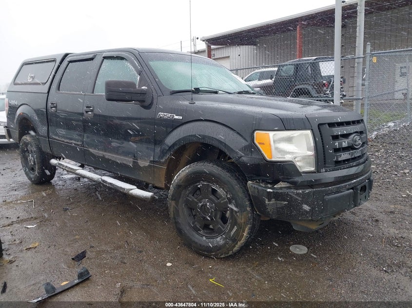 FORD F-150 XL/XLT