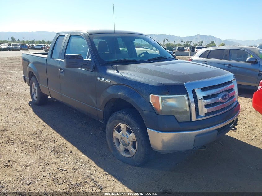 1FTEX1E86AFC20439 2010 FORD F-150 photo no. 21