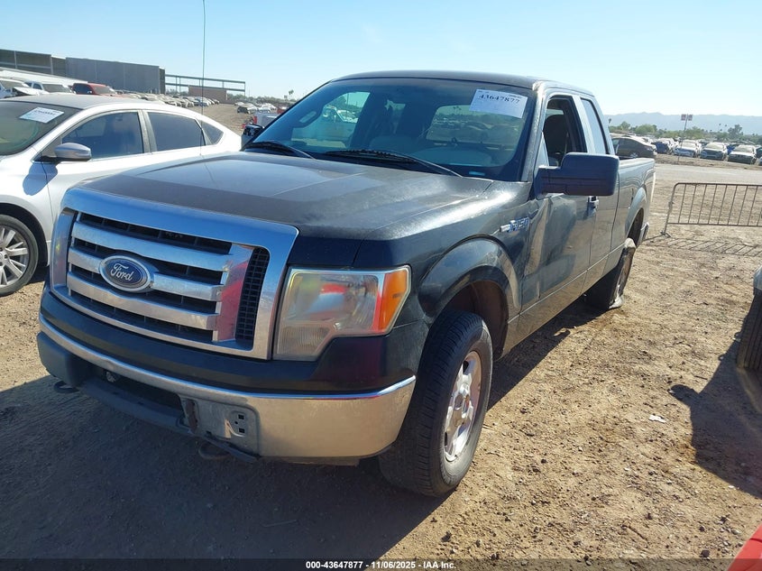 1FTEX1E86AFC20439 2010 FORD F-150 photo no. 2