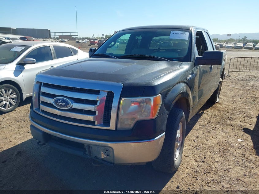 1FTEX1E86AFC20439 2010 FORD F-150 photo no. 6