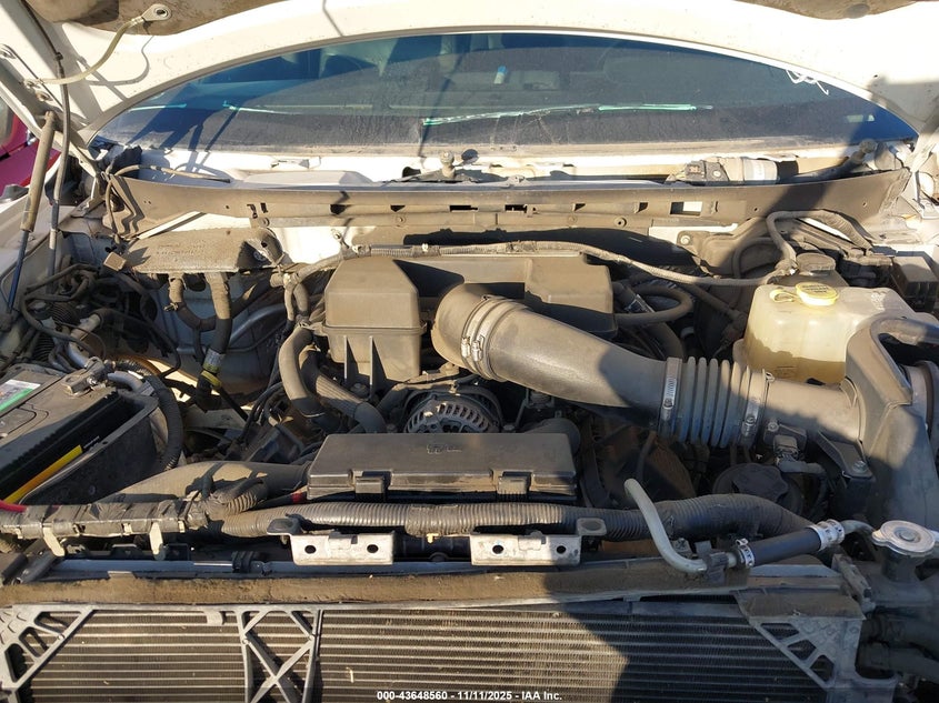 1FTFW1R61CFC80292 2012 FORD F-150 photo no. 10