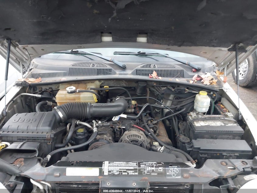 1J4GL38K04W208213 2004 JEEP LIBERTY (NORTH AMERICA) photo no. 10