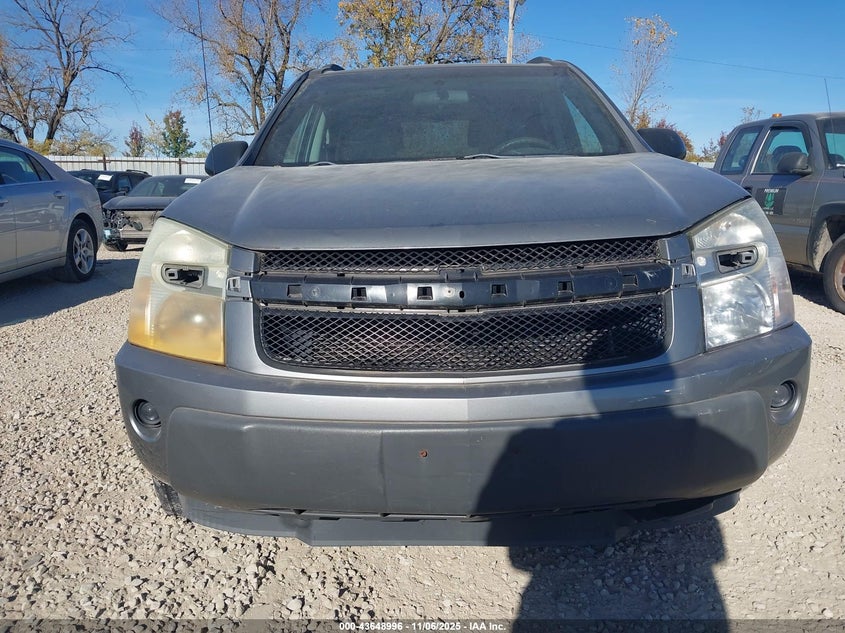 2005 Chevrolet Equinox Ls VIN: 2CNDL13F556182710 Lot: 43648996