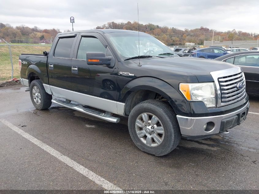FORD F-150 XLT