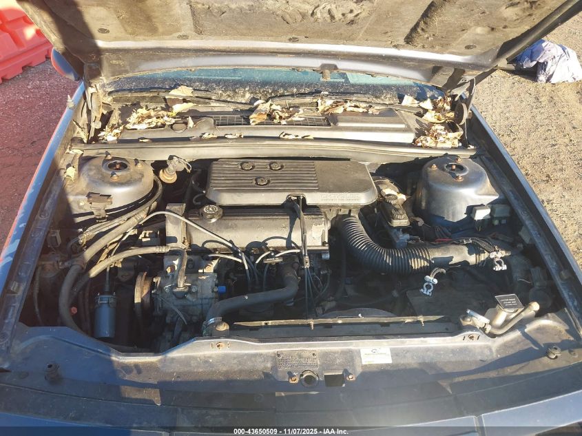 1987 Chrysler Lebaron Premium VIN: 1C3BJ55K6HG209506 Lot: 43650509