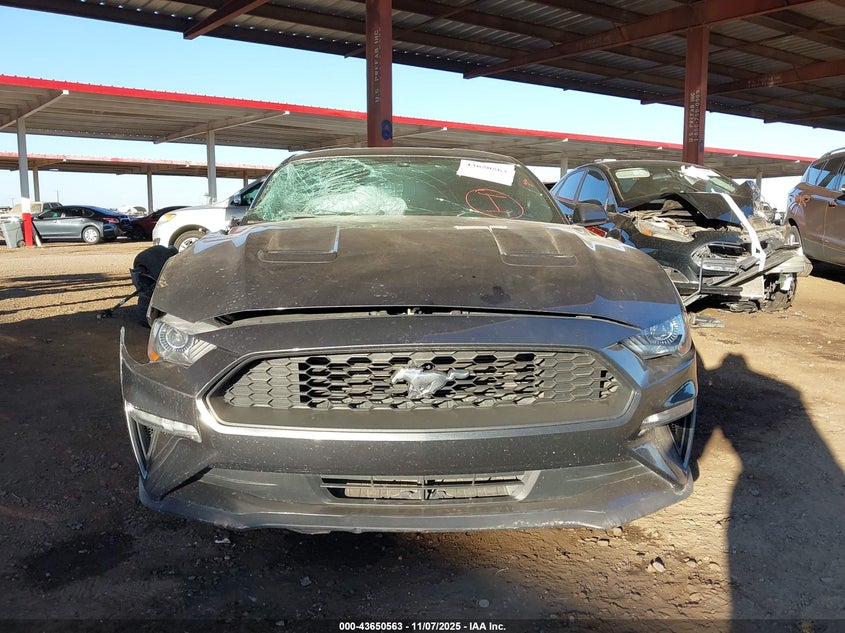 2019 Ford Mustang Ecoboost VIN: 1FA6P8TH0K5130975 Lot: 43650563