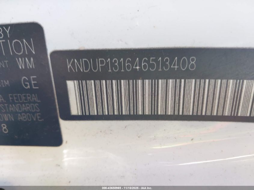 2004 Kia Sedona Ex/Lx VIN: KNDUP131646513408 Lot: 43650969