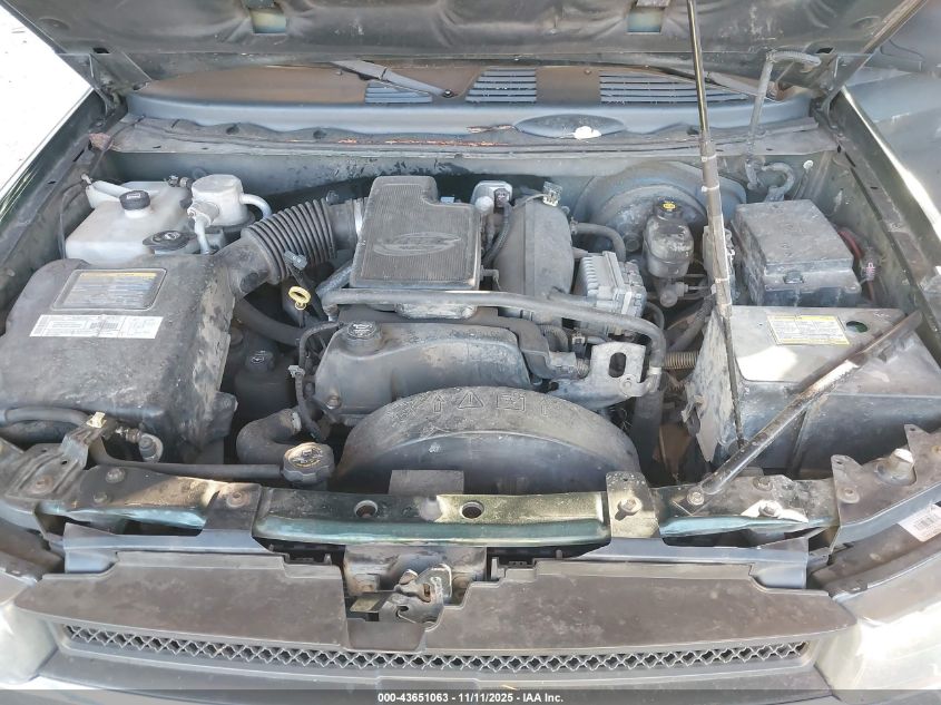 2003 Chevrolet Trailblazer Ls VIN: 1GNDT13S132101656 Lot: 43651063