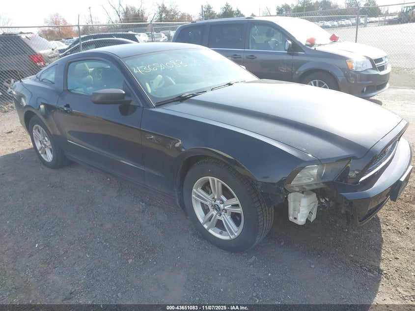 2014 FORD MUSTANG V6 - 1ZVBP8AM8E5212236