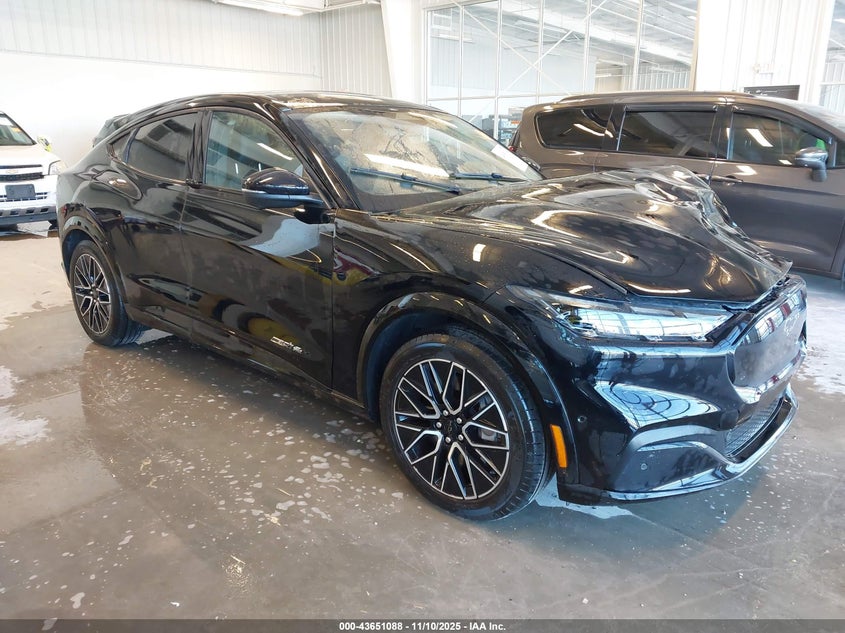 2024 FORD MUSTANG MACH-E PREMIUM - 3FMTK3SU7RMA21913