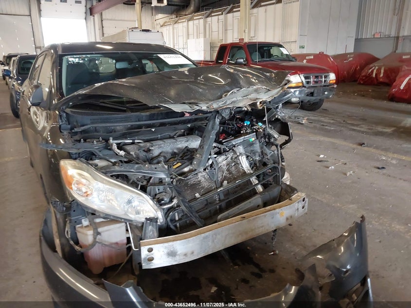 2009 Toyota Matrix S VIN: 2T1LE40E69C010181 Lot: 43652496