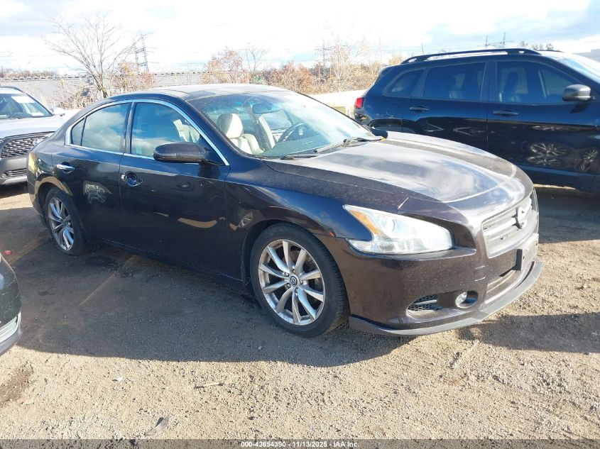 NISSAN MAXIMA 3.5 SV