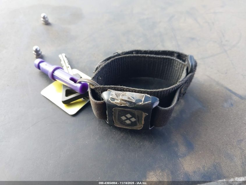 2013 Isuzu Commercial Van VIN: JALB4T174D7W00431 Lot: 43654984