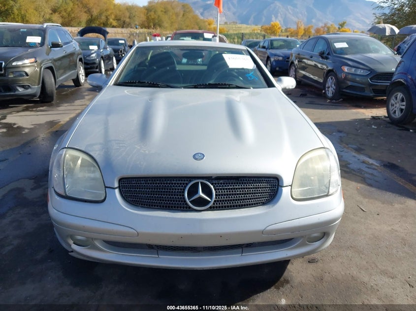 2002 Mercedes-Benz Slk 230 Kompressor VIN: WDBKK49F72F269824 Lot: 43655365