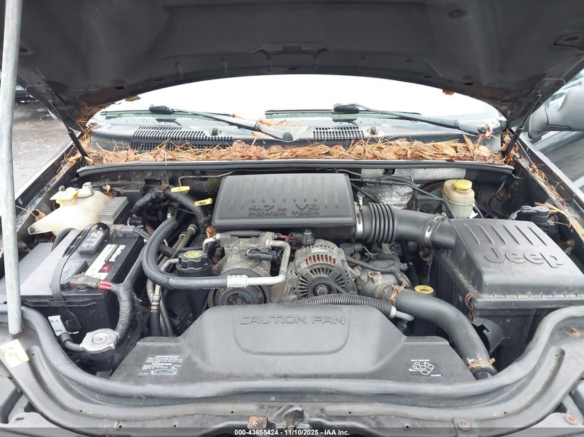 2002 Jeep Grand Cherokee Limited VIN: 1J8GW58N12C331190 Lot: 43655424