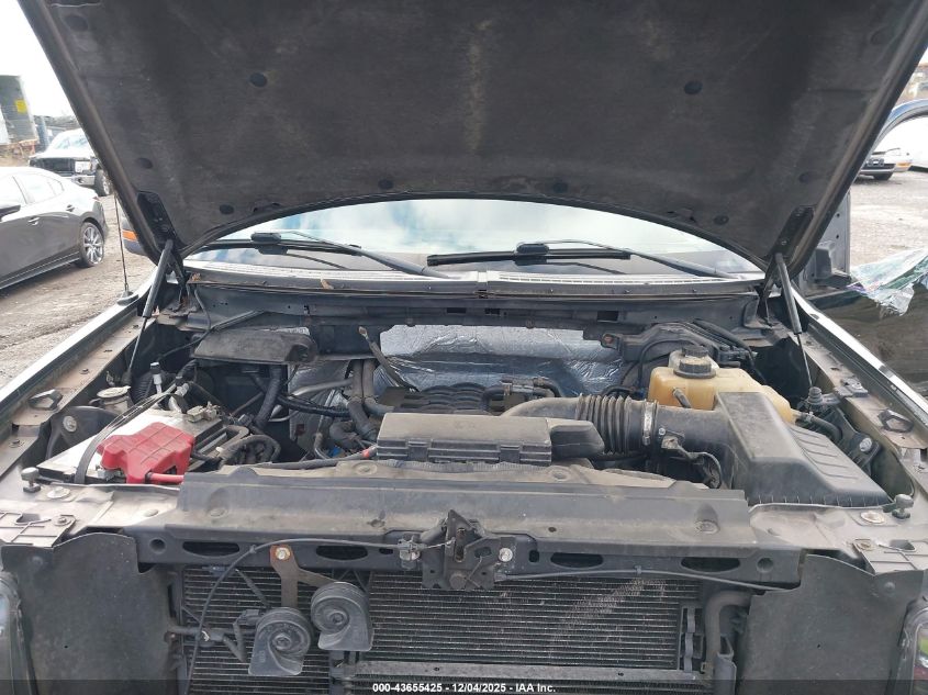 2011 Ford F-150 Fx4 VIN: 1FTFX1EF1BFC43034 Lot: 43655425