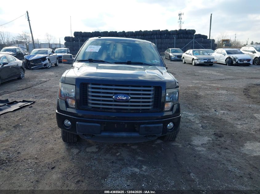 2011 Ford F-150 Fx4 VIN: 1FTFX1EF1BFC43034 Lot: 43655425