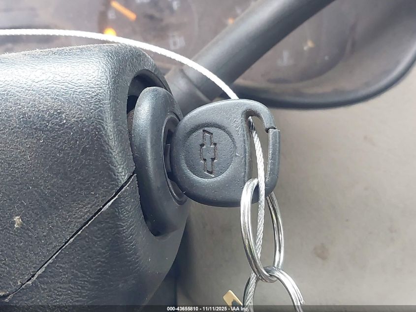 2004 Chevrolet Silverado 1500 Ls VIN: 1GCEK19T74E171646 Lot: 43655810