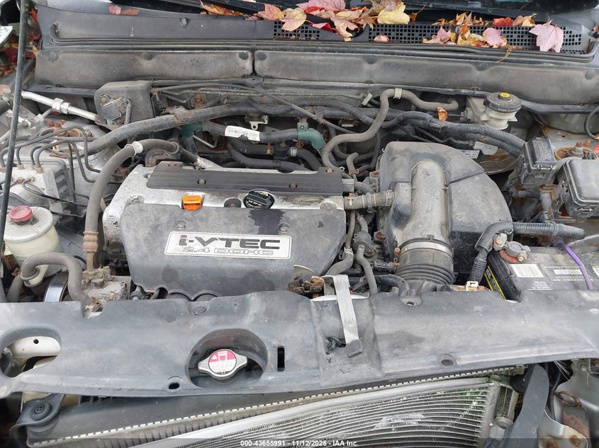 2005 Honda Cr-V Se VIN: JHLRD78975C017314 Lot: 43655991