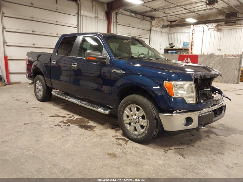 FORD F-150 XLT