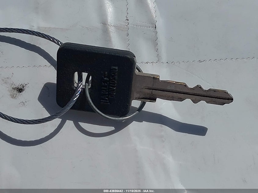 2021 Harley-Davidson Xl1200 Ns VIN: 1HD1LP310MB400500 Lot: 43656442