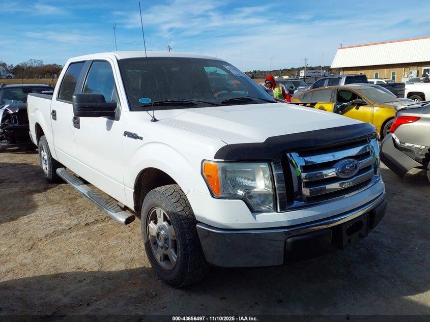 FORD F-150 FX2 SPORT/HARLEY-DAVIDSON/KING RANCH/LARIAT/PLATINUM/XL/XLT