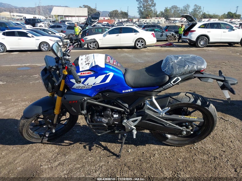 HODPBFGH4SX102949 2025   photo no. 13