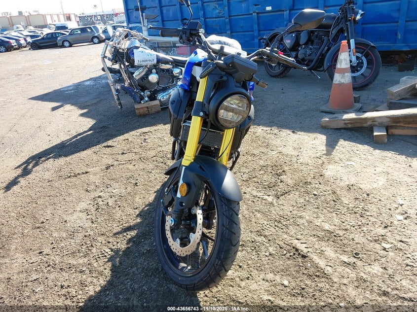 HODPBFGH4SX102949 2025   photo no. 5