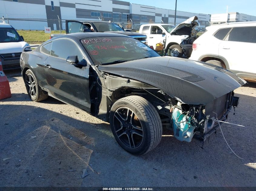 2019 FORD MUSTANG GT - 1FA6P8CF6K5112138
