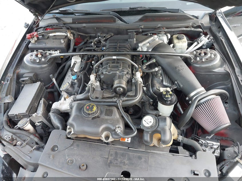 2007 Ford Shelby Gt500 VIN: 1ZVHT88S675260329 Lot: 43657162