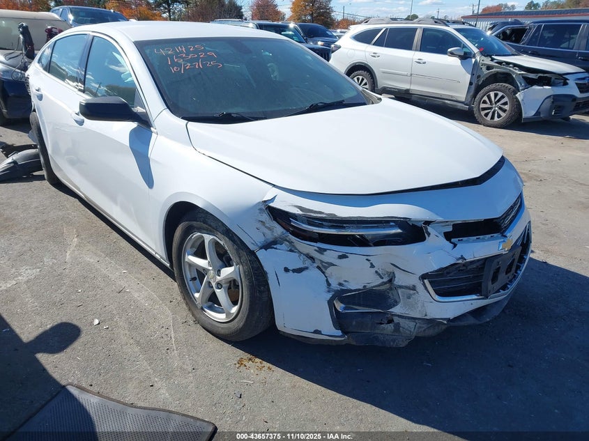 CHEVROLET MALIBU 1FL