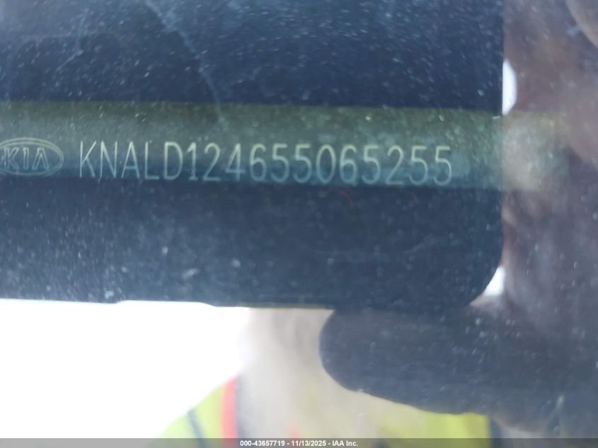 2005 Kia Amanti VIN: KNALD124655065255 Lot: 43657719