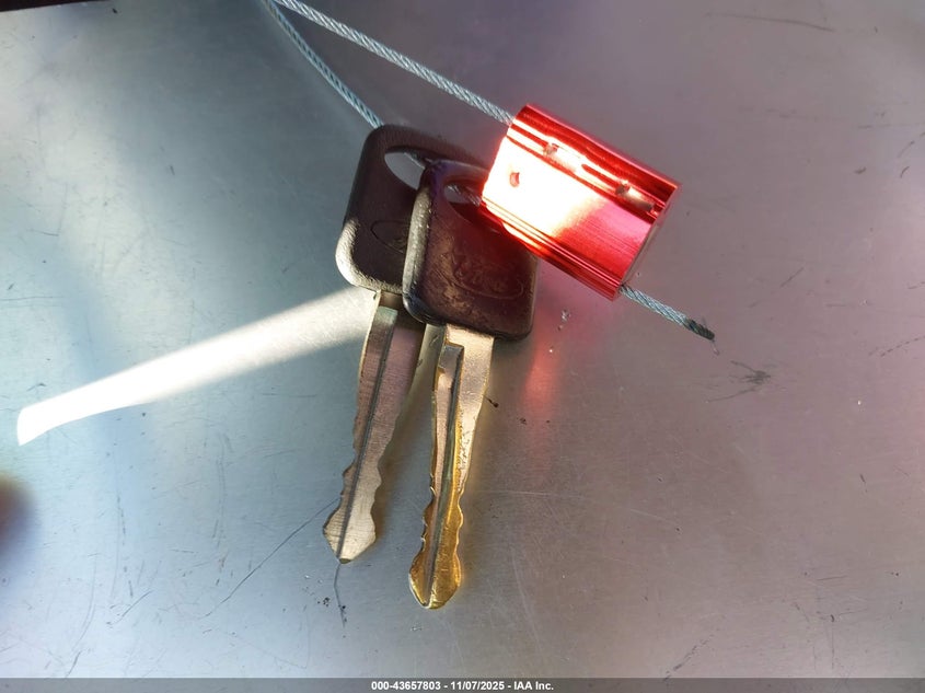 1995 Ford F150 VIN: 1FTDF15Y0SNA79745 Lot: 43657803