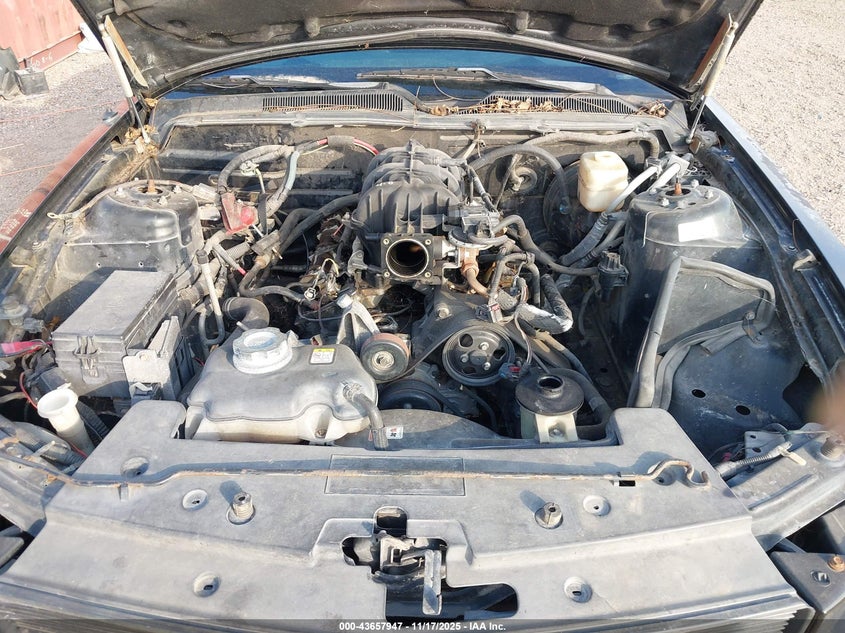 2007 Ford Mustang VIN: 1ZVFT80N675284367 Lot: 43657947