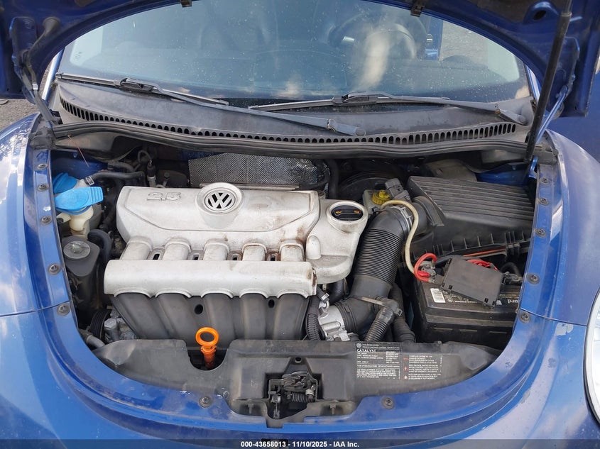 2008 Volkswagen New Beetle S VIN: 3VWPW31C58M521535 Lot: 43658013