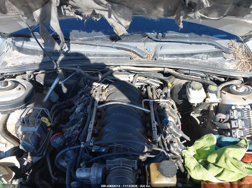 2005 Pontiac Gto VIN: 6G2VX12U05L348692 Lot: 43658314