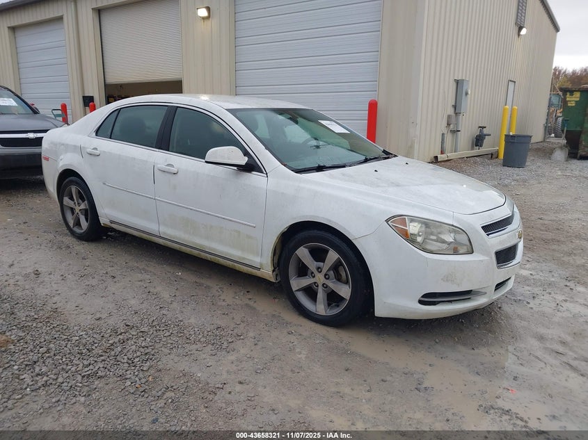 CHEVROLET MALIBU 1LT
