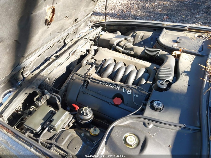 1998 Jaguar Xj8 Vanden Plas VIN: SAJKX6248WC842326 Lot: 43658651