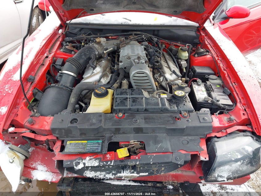 2003 Ford Mustang 10Th Anniversary Package/Cobra VIN: 1FAFP49Y93F443647 Lot: 43658707