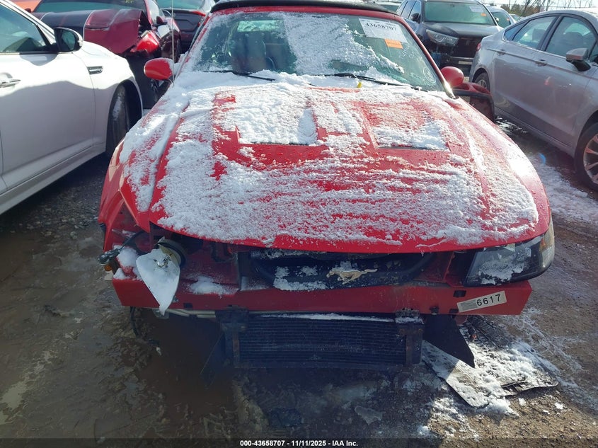 2003 Ford Mustang 10Th Anniversary Package/Cobra VIN: 1FAFP49Y93F443647 Lot: 43658707