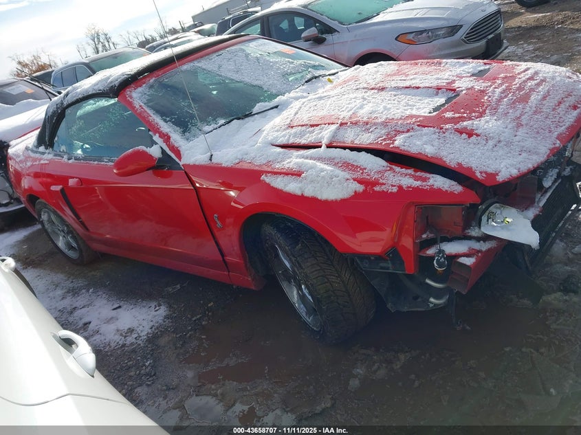 2003 Ford Mustang 10Th Anniversary Package/Cobra VIN: 1FAFP49Y93F443647 Lot: 43658707