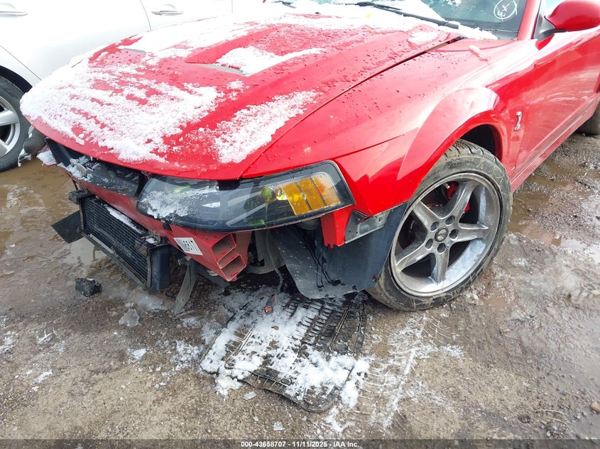 2003 Ford Mustang 10Th Anniversary Package/Cobra VIN: 1FAFP49Y93F443647 Lot: 43658707