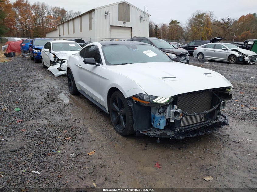 FORD MUSTANG ECOBOOST PREMIUM FASTBACK