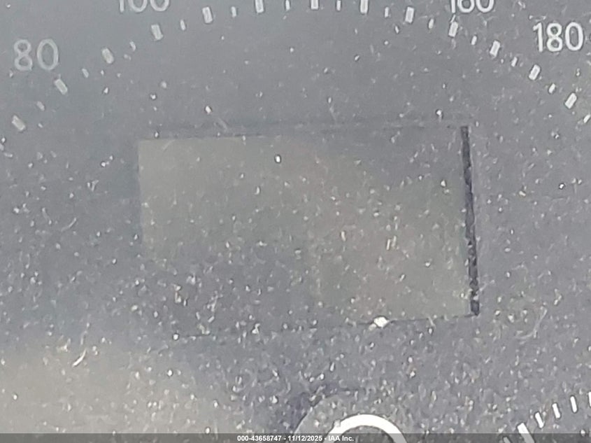 2008 Volkswagen New Beetle S VIN: 3VWPW31C48M509778 Lot: 43658747