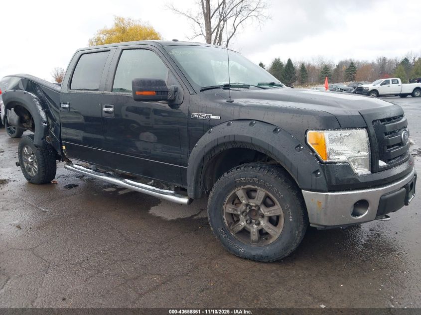 FORD F-150 FX4/HARLEY-DAVIDSON/KING RANCH/LARIAT/PLATINUM/XL/XLT