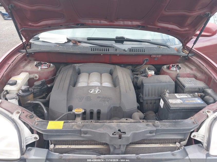 2003 Hyundai Santa Fe Gls/Lx VIN: KM8SC73D434377253 Lot: 43658874