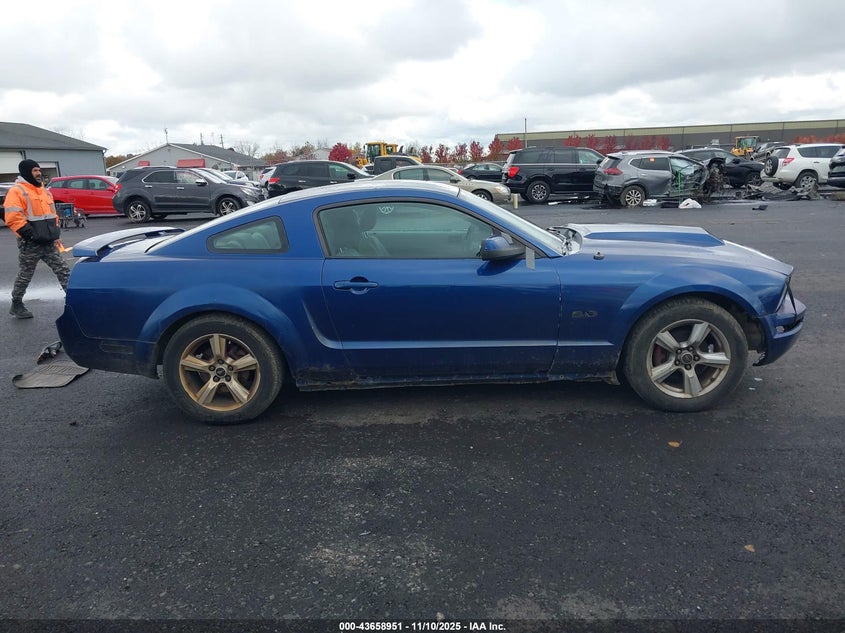 2006 Ford Mustang V6 VIN: 1ZVFT80N965103194 Lot: 43658951