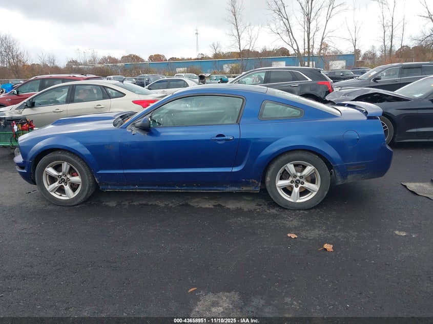 2006 Ford Mustang V6 VIN: 1ZVFT80N965103194 Lot: 43658951