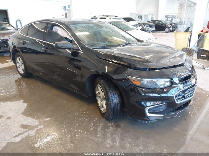 CHEVROLET MALIBU 1LS