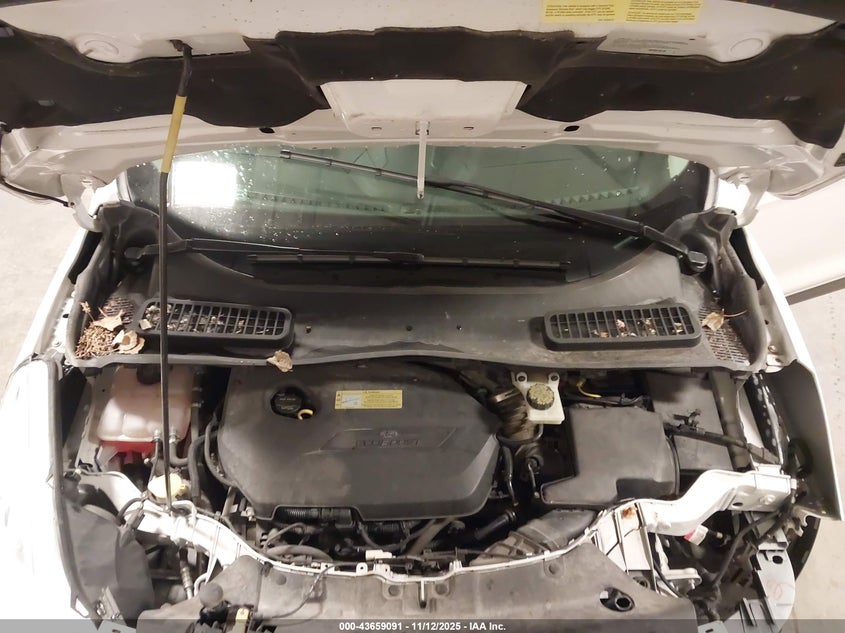 2014 Ford Escape Se VIN: 1FMCU0GX7EUB24542 Lot: 43659091